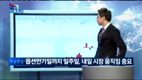 [리얼 선물투자] 내일 시장 흐름이 맥점이다!