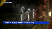 손보사, '손해율 나빠질라' 태풍 피해 파악 분주