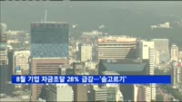 8월 기업 자금조달 28% 급감…경기부진 속 숨고르기
