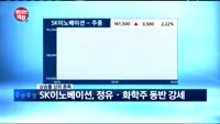 [보이는 객장]인디에프, 미 대선 최고 수혜주 등극