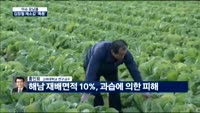 [이슈모닝콜 여보세요]김장철 채소값 ‘폭등’