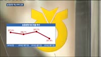 농협생명, 후순위채 발행 재검토…지주사도 '제 코가 석 자'