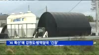 'AI 확산'에 강원도·방역당국 '긴장'