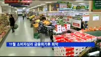11월 소비자심리 금융위기후 최악