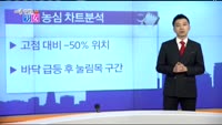 [매일 장보는 남녀] 농심(004370)