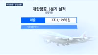 대한항공, 공정위 제재·조종사 파업에 고환율까지 '첩첩산중' 