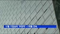 12월 기업심리 '부정적'…7개월 연속