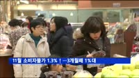 11월 소비자물가 1.3%↑…3개월째 1%대 기록