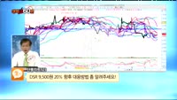 [종목상담] DSR(155660)