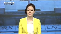 [글로벌 이슈진단]다우 지수 2만선 돌파할까?