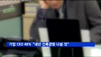 기업 CEO 49% "내년 긴축경영 나설 것"