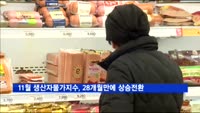 11월 생산자물가지수, 28개월만에 전년대비 상승전환