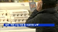 정부 "계란 수입 지원 등 수급안정 노력"
