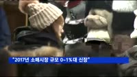 "2017년 소매시장 규모 0~1%대 신장 그칠 것"