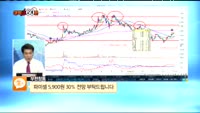 [종목상담] 파미셀(005690)
