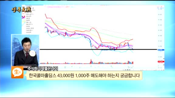 [종목상담]한국콜마홀딩스(024720)