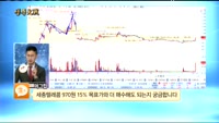[종목상담]세종텔레콤(036630)