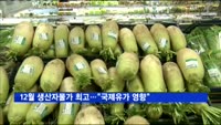 12월 생산자물가 최고…"국제유가 영향"