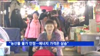 정부 "농산물 물가 안정…에너지 가격은 상승"