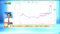 [종목상담]메가엠디(133750)