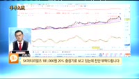 [종목상담]SK머티리얼즈(036490)