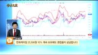 [종목상담]한화케미칼(009830)