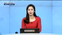 [애널리스트에게 듣는다] 국내 메모리반도체?LCD업계 전망은?