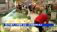 생산자물가, 6개월째 상승…25개월만에 최고