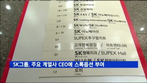 SK그룹, 주요 계열사 CEO에 스톡옵션