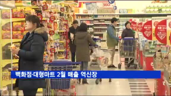 '소비 빙하기' 백화점·대형마트 2월 매출 역신장