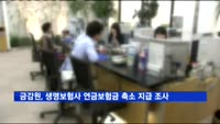금감원, 생명보험사 연금보험금 축소 지급 조사 착수