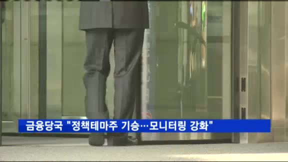 금융당국 "정책테마주 기승…모니터링 강화"
