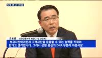 비은행 강화 나선 신한금융…KB처럼 국내 M&A 나설까