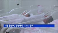 1월 출생아, 전년대비 11.1% 급락