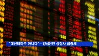 "대선테마주 아니다"…양심선언 상장사 26곳 '급증세'