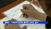 금융연 "가계부채 급격히 줄이면 소비도 감소"