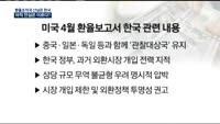 [이슈진단]환율조작국 산넘은 한국 아직 안심은 이르다?