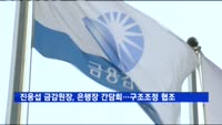 진웅섭 금감원장, 은행장 간담회…구조조정 협조 호소