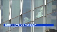 삼성전자, 부사장급 5명 등 DS부문 임원 42명 승진인사
