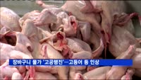 장바구니 물가 '고공행진'…고등어·닭고기 등 줄줄이 인상