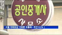서울 아파트값 가파른 오름세…주간 0.3% 상승