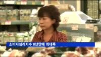 소비자심리지수 8년만에 최대폭