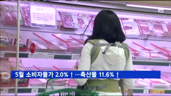 5월 소비자물가상승률 2.0%…축산물 11.6% 상승