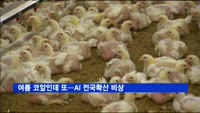 여름 코앞인데 또…AI 전국확산 비상