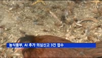 농식품부, AI 추가 의심신고 3건 접수