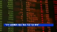 "STX 상장폐지 대신 개선 기간 1년 부여"