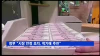 정부 "시장 안정 조치, 적기에 추진"