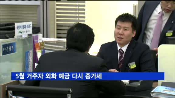 5월 거주자 외화 예금 다시 증가세