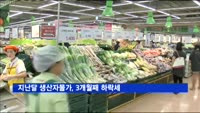 지난달 생산자물가, 3개월째 하락세