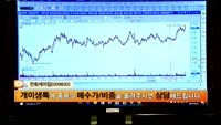 [종목상담]한화케미칼(009830)